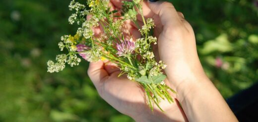 Mozgó dátumú világnapok