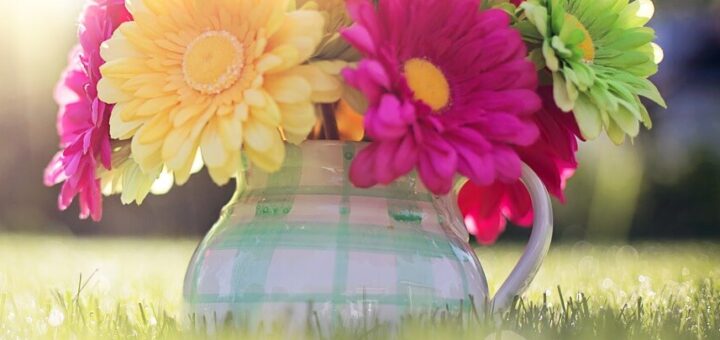 Világnapok és nemzetközi napok