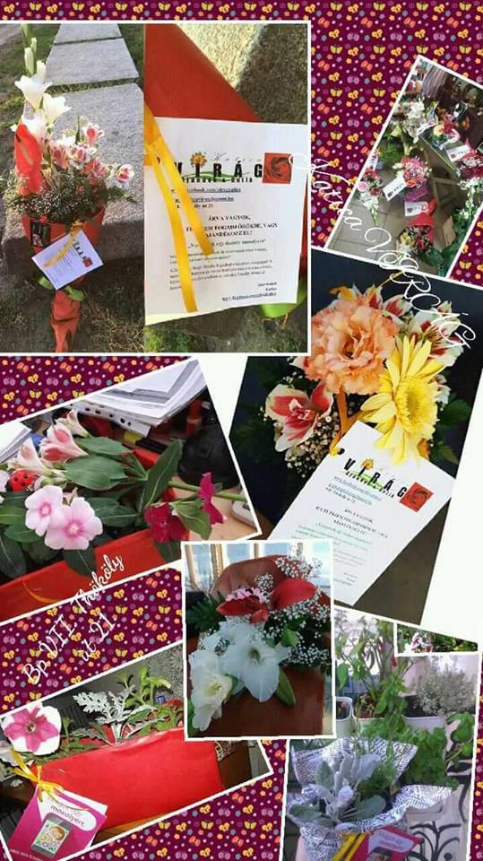 Virágot egy mosolyért! 2016