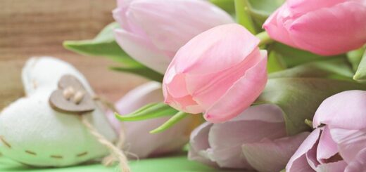 Köszönet a nőknek!