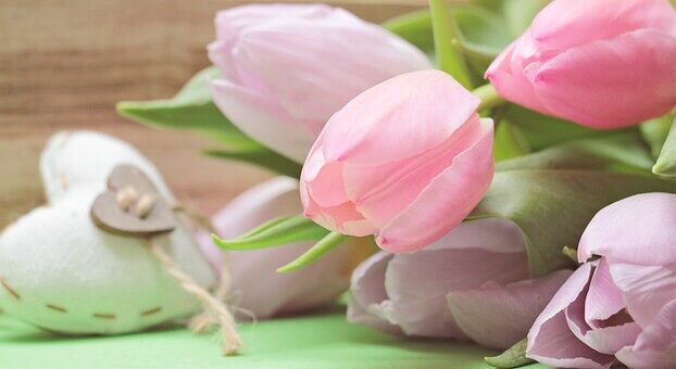 Köszönet a nőknek!