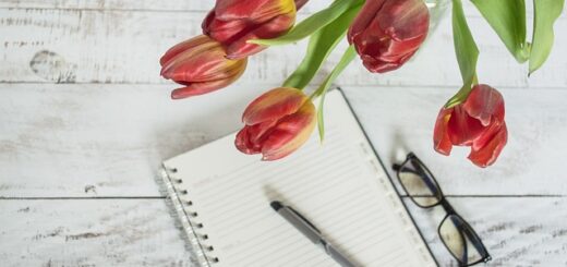 naptár tulipánnal