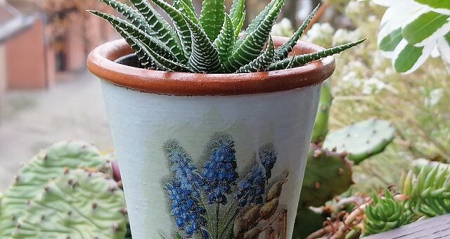 Karácsonyi ajándék virágcserépből saját kezűleg