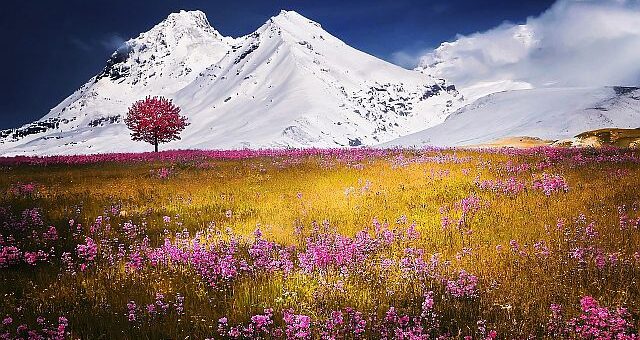 Dalai Láma: A Boldogság Művészete