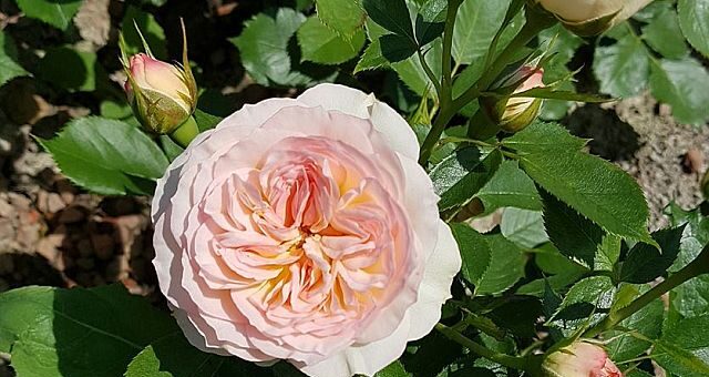 Popper Péter: Önmagaddal nem lehet spórolni