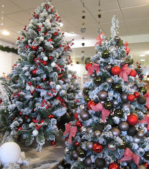 fenyőfa állítás története