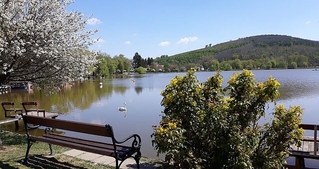 Levél Helsinkiből csupa "h" betűvel