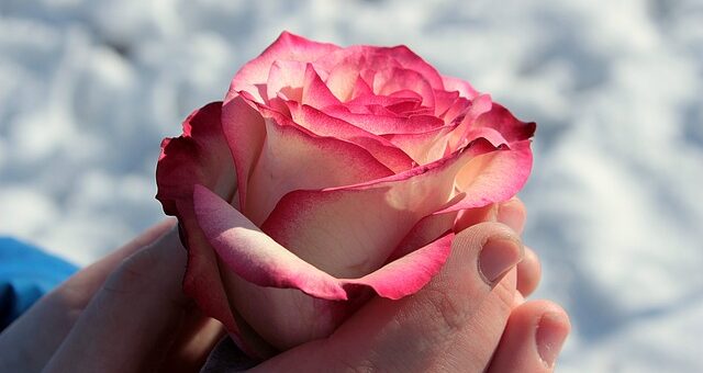 Babits Mihály - Mindenik embernek a lelkében dal van