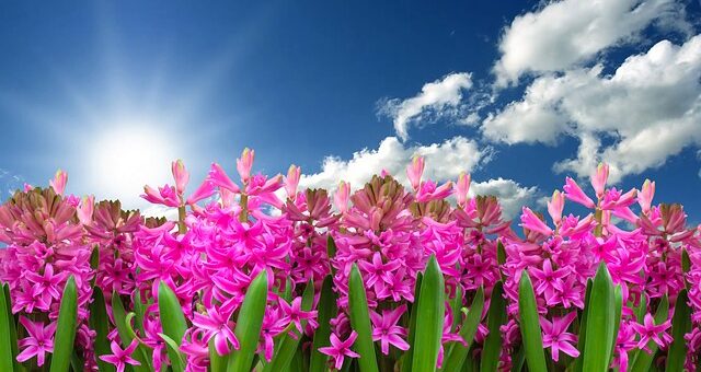 Kányádi Sándor: Március