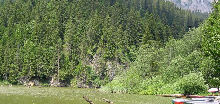 Kányádi Sándor: Ének a forrásról