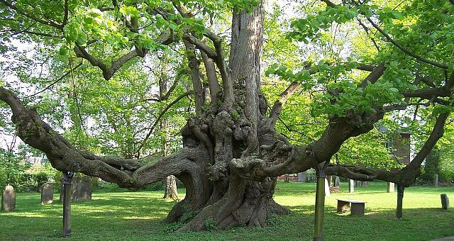 szívmelengető bölcsesség