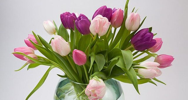 Kányádi Sándor: Köszöntő március 8-ra