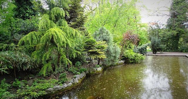 Imádkozom egy szebb világért, amit a gondolat teremt. A fénylő Napom sugaráért,