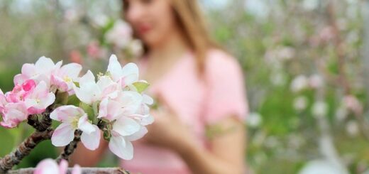 Kormos István: Kerek esztendő