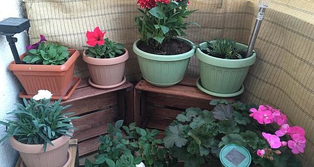 Zöldséges ládák a teraszon