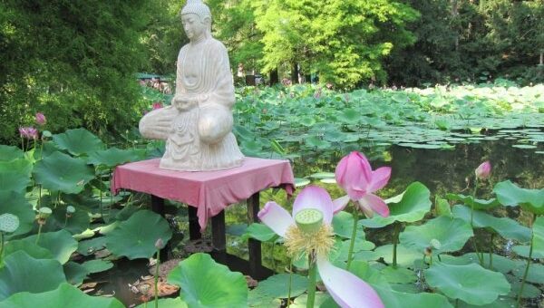 Andrássy Réka: Lehetetlen bakancslista