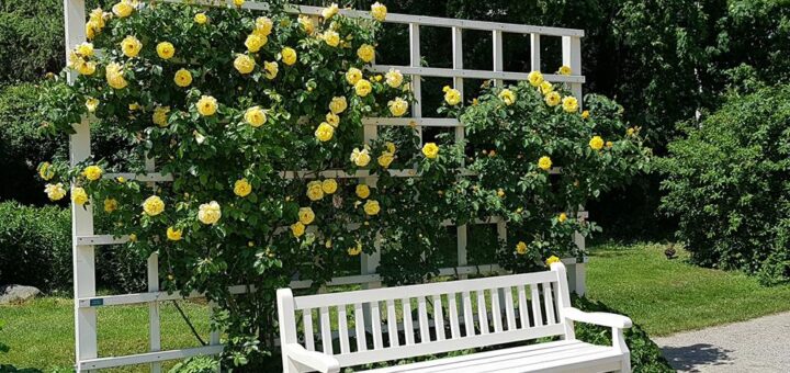 Kányádi Sándor: Ha a napnak