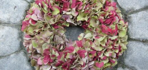 Egyszerű lakásdekoráció hortenzia virágokból - hortenzia koszorú