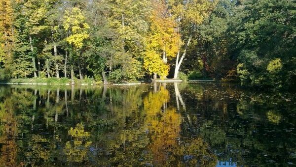 ősz a természetben