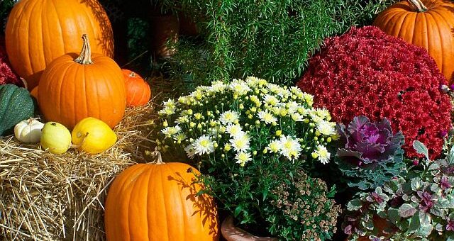 Ady Endre: Milyen az ősz...?