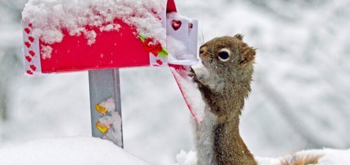 Kányádi Sándor: Betemetett a nagy hó