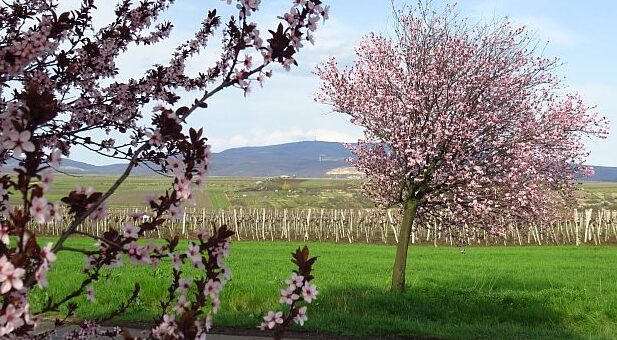 Természet változó szépsége