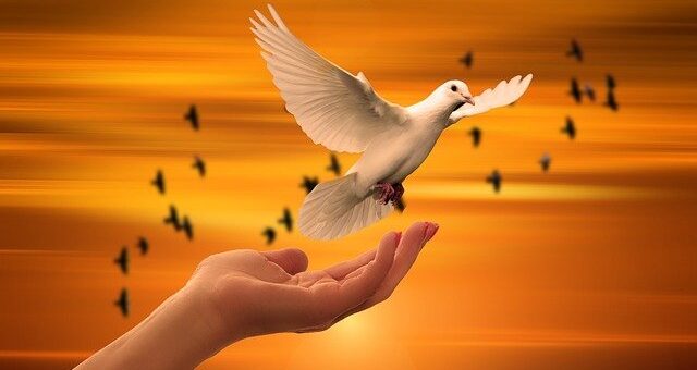 Engedd el azokat az embereket