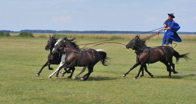 Petőfi Sándor: Hazámban