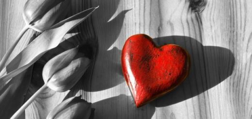 piros szívalak, a szív mint szimbólum