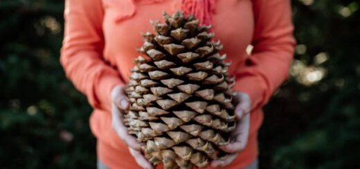 óriástoboz kézben