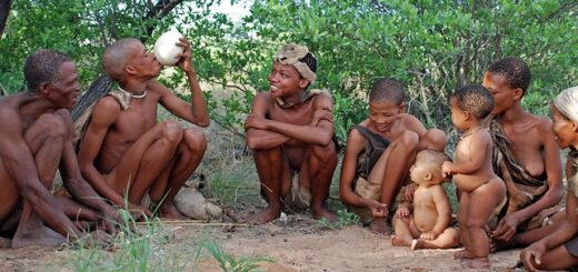 bushman őslakosok