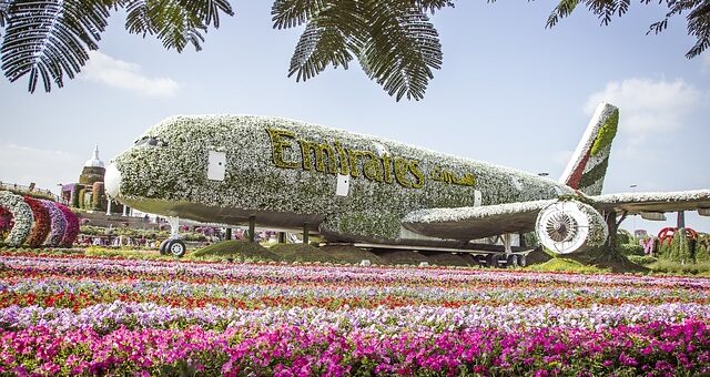 Csodák kertje, Miracle garden Dubaiban