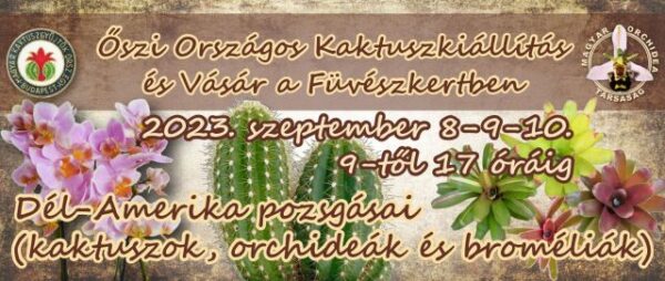 őszi kaktusz kiállítás 2023 plakátja