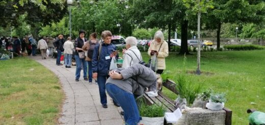 Balkonada találkozó és növénycsere