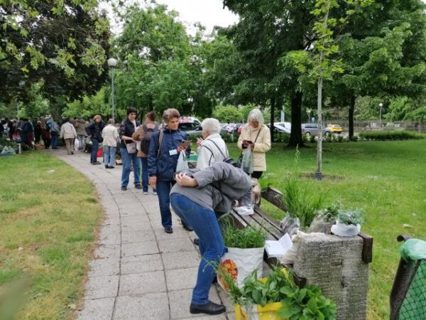 Balkonada találkozó és növénycsere