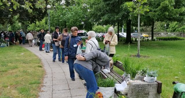 Balkonada találkozó és növénycsere