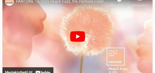 204 színe: a Peach Fuzz (barackpihe)