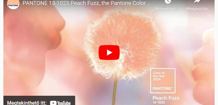 204 színe: a Peach Fuzz (barackpihe)