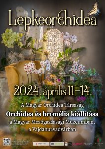 tavaszi orchidea kiállítás 2024