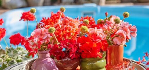 asztaldíszek muskátlival