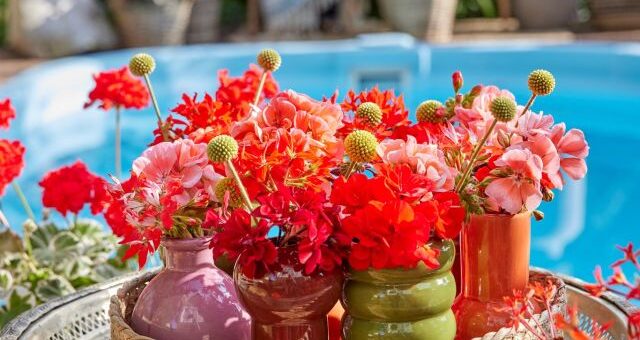 asztaldíszek muskátlival