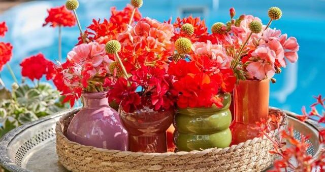 virágok és a fheng shui