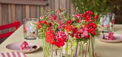 asztaldíszek muskátlival