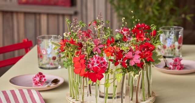 asztaldíszek muskátlival